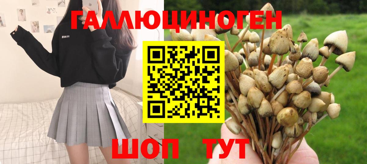 Галлюциногенные грибы ЛСД Мичуринск